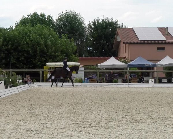 Reitturnier Dompierre 2022