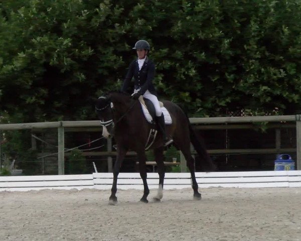 Reitturnier Dompierre 2022