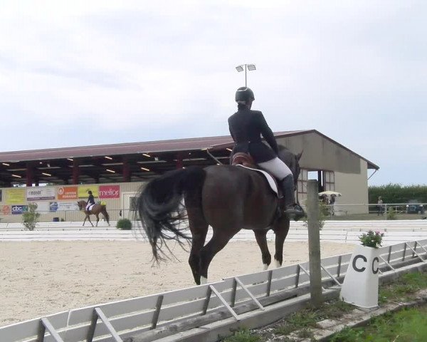 Reitturnier Dompierre 2022