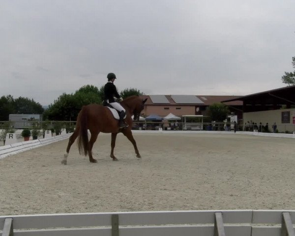 Reitturnier Dompierre 2022