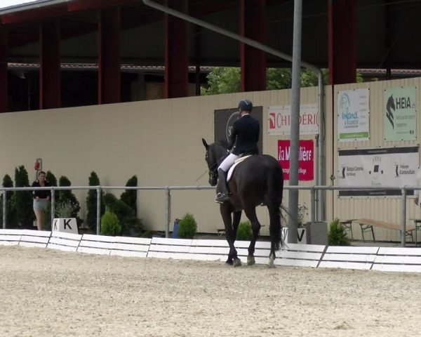 Reitturnier Dompierre 2022