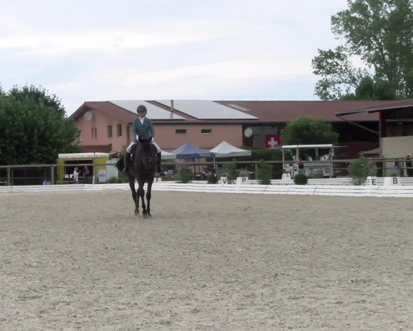 Reitturnier Dompierre 2022
