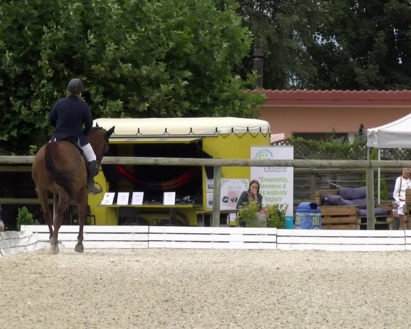 Reitturnier Dompierre 2022
