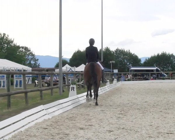 Reitturnier Dompierre 2022