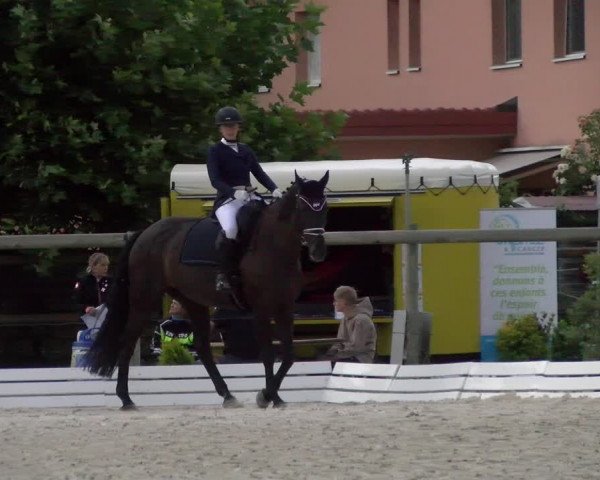 Reitturnier Dompierre 2022