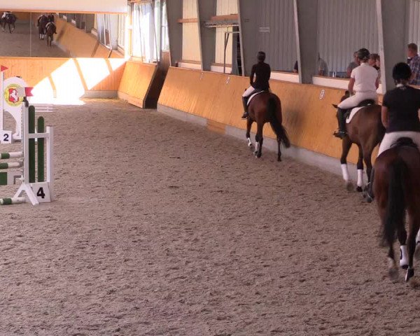 Reitturnier Münster-Amelsbüren 2022
