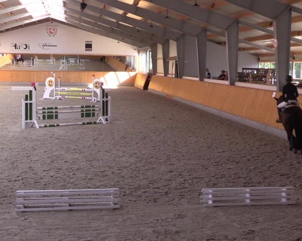 Reitturnier Münster-Amelsbüren 2022