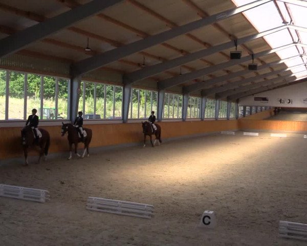 Reitturnier Münster-Amelsbüren 2022