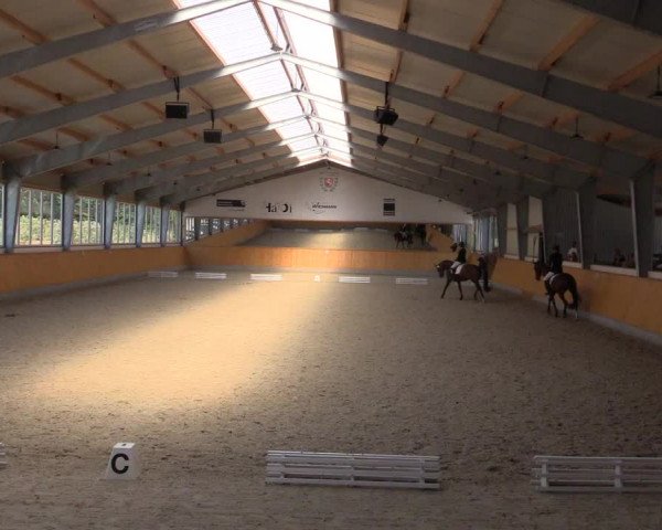Reitturnier Münster-Amelsbüren 2022