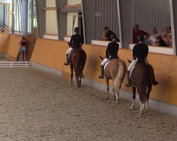 Reitturnier Münster-Amelsbüren 2022