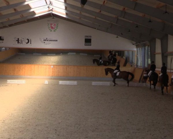Reitturnier Münster-Amelsbüren 2022