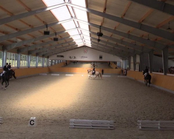 Reitturnier Münster-Amelsbüren 2022