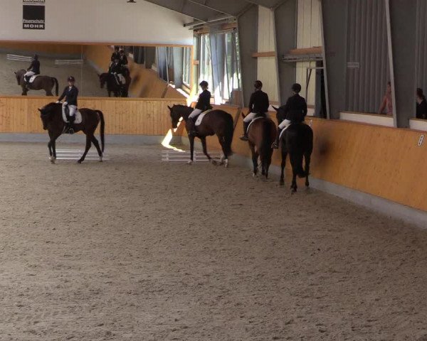 Reitturnier Münster-Amelsbüren 2022