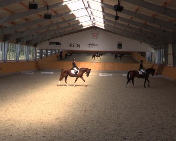 Reitturnier Münster-Amelsbüren 2022