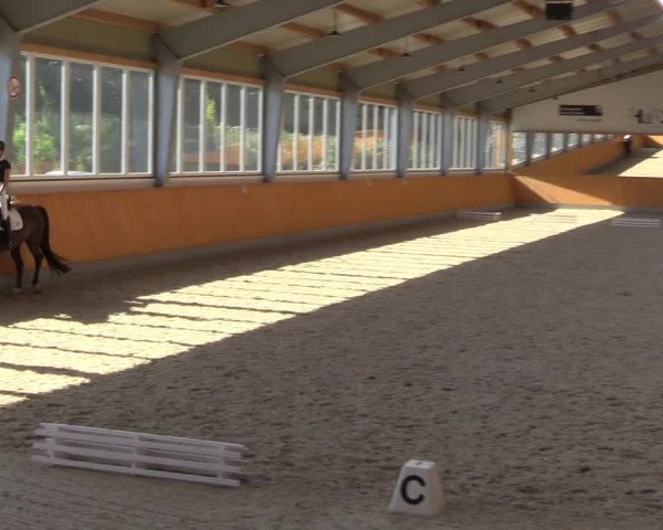Reitturnier Münster-Amelsbüren 2022
