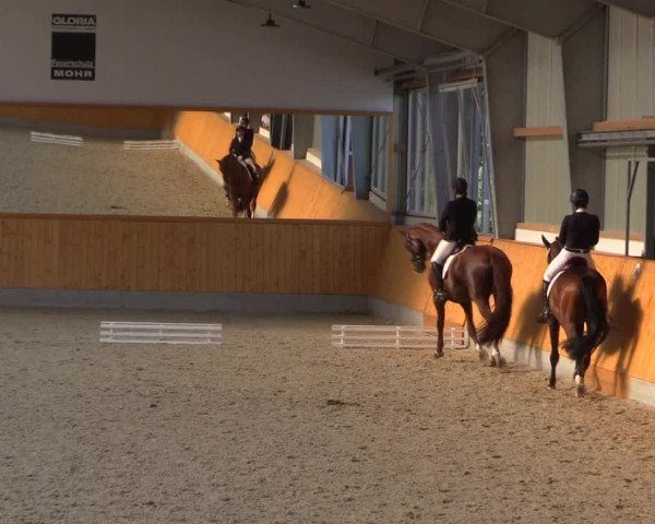 Reitturnier Münster-Amelsbüren 2022