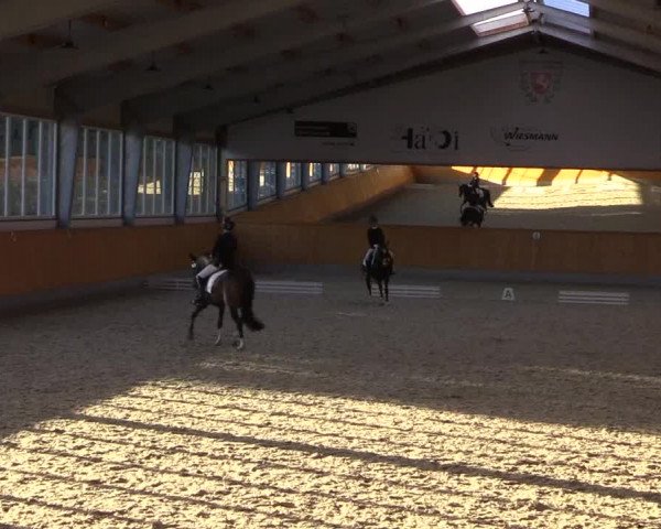 Reitturnier Münster-Amelsbüren 2022
