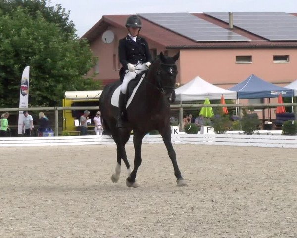 Reitturnier Dompierre 2022