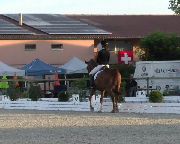 Reitturnier Dompierre 2022
