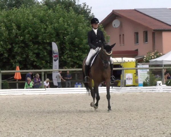 Reitturnier Dompierre 2022