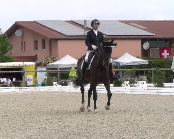 Reitturnier Dompierre 2022