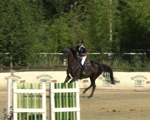 Reitturnier Vellinghausen 2022