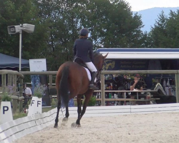 Reitturnier Dompierre 2022