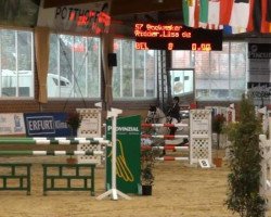 Springpferd Bookmaker (unbekannt,  )