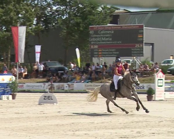 Reitturnier Grafenrheinfeld/Ufr. 2022