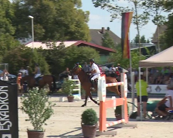Reitturnier Grafenrheinfeld/Ufr. 2022