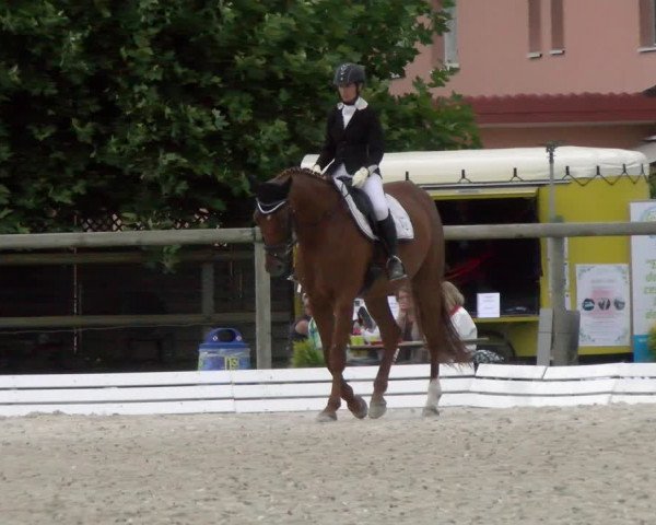 Reitturnier Dompierre 2022