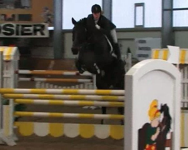 jumper Getsby 15 (Trakehner, 2000, from Oxford)