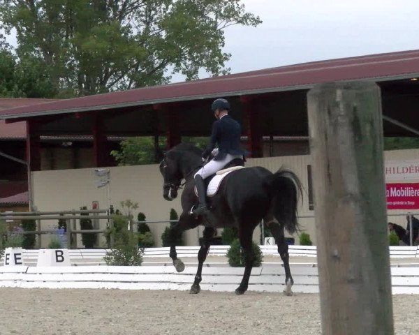 Reitturnier Dompierre 2022