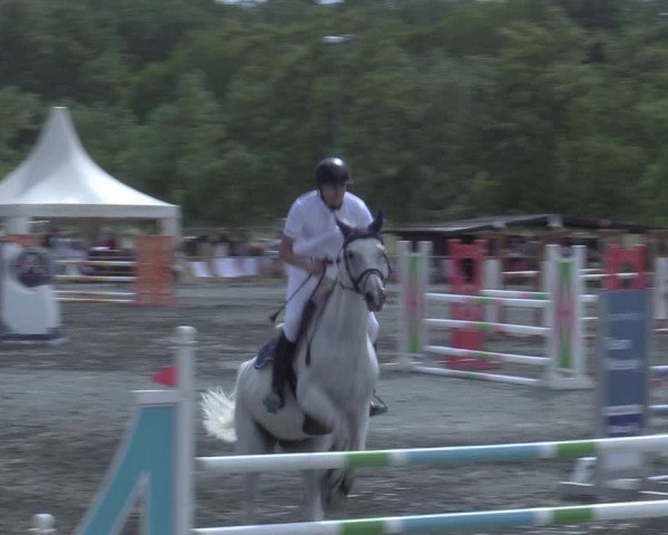 Reitturnier Horitschon 2022