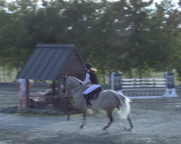 Reitturnier Horitschon 2022