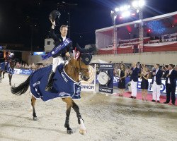 jumper Beauville Z N.O.P. (Zangersheide riding horse, 2010, from Bustique)