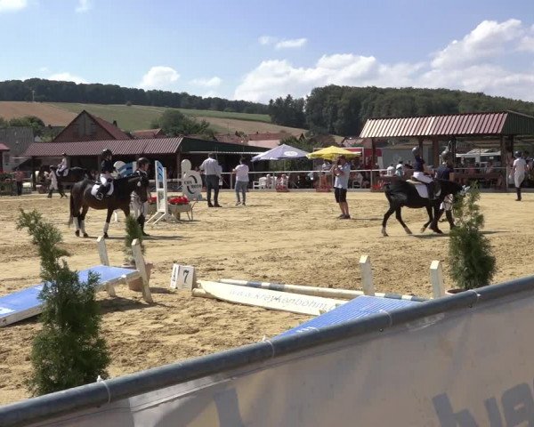 Reitturnier Kreiensen- Rittierode 2022