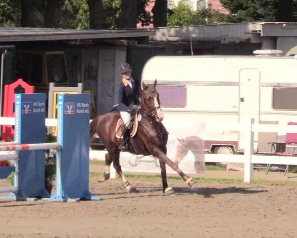 Springturnier Mildstedt 2021