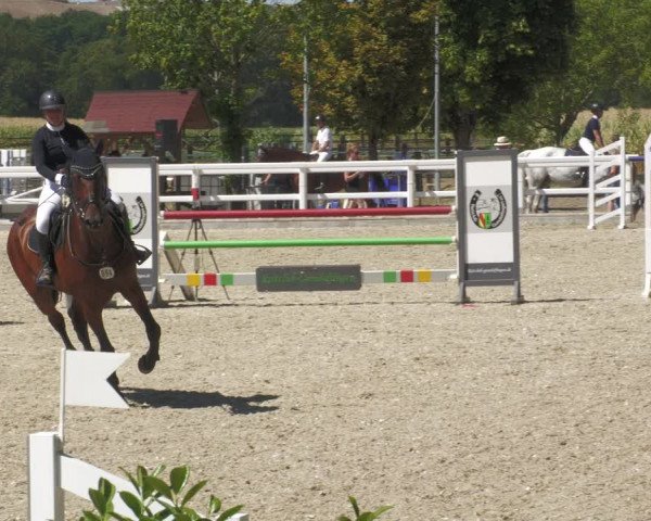Reitturnier Gundelfingen 2022