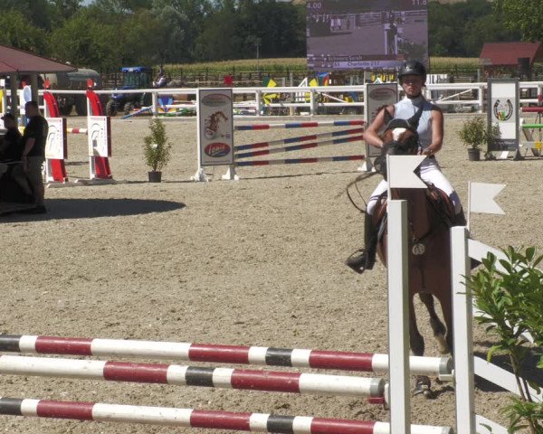 Reitturnier Gundelfingen 2022