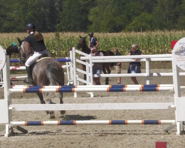 Reitturnier Gundelfingen 2022