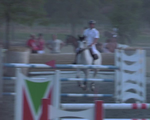 Reitturnier Horitschon 2022