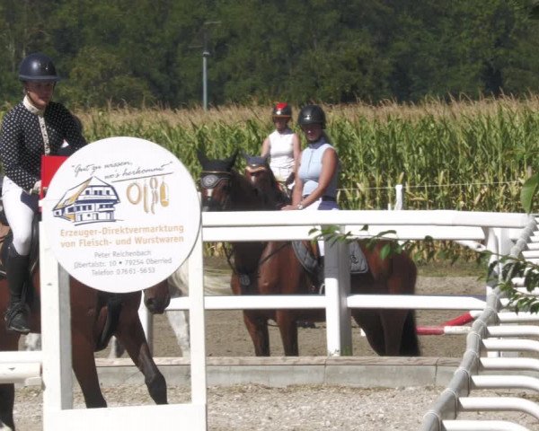 Reitturnier Gundelfingen 2022
