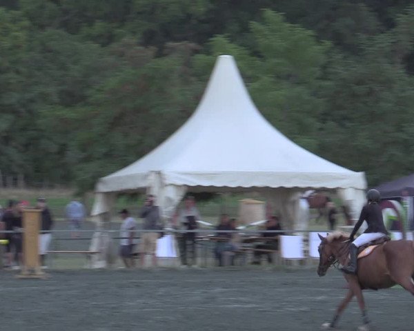 Reitturnier Horitschon 2022