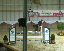 Springpferd Lux mundi (Rheinländer, 2002, von Lupicor)