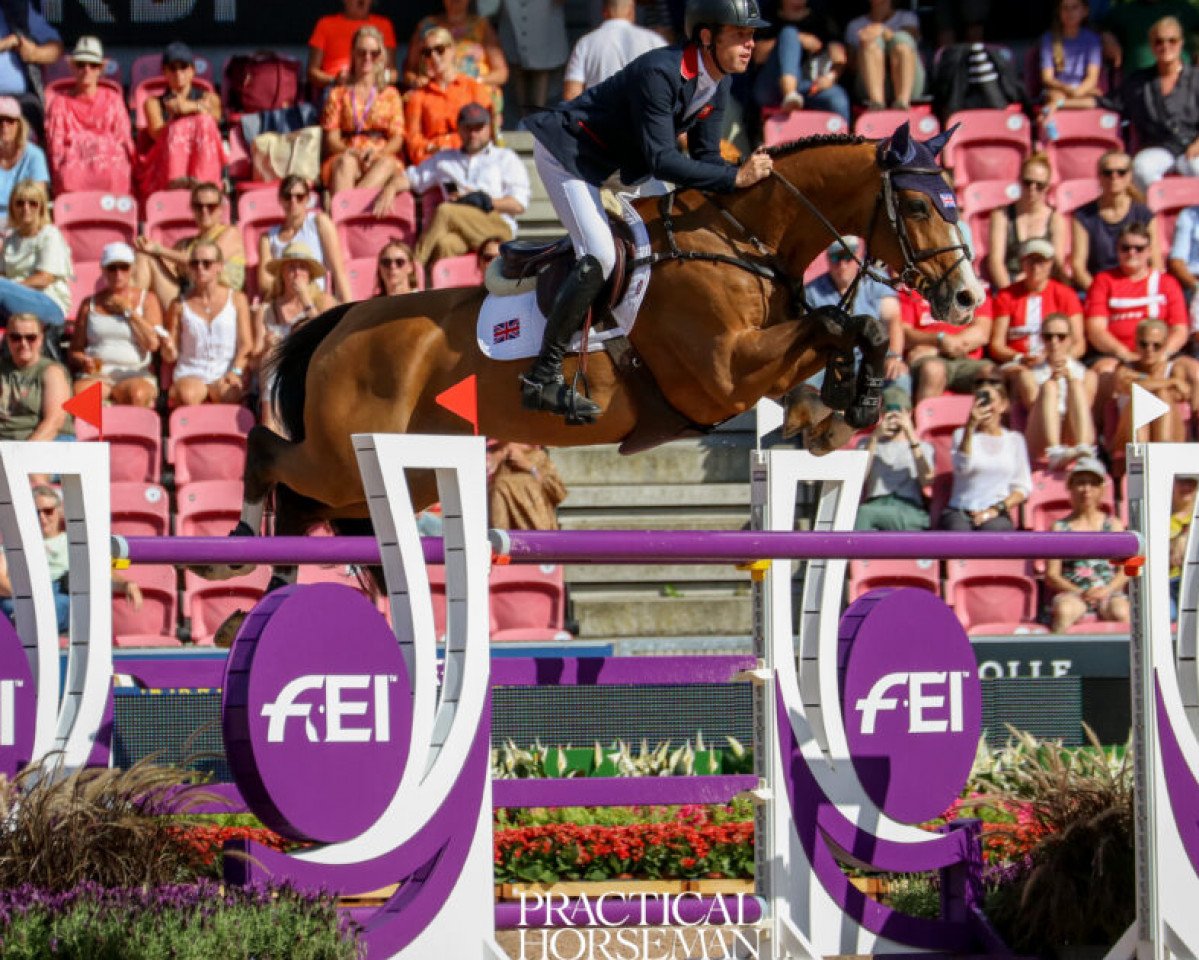 Springpferd Hello Jefferson (Belgisches Warmblut, 2009, von Cooper van de Heffinck)