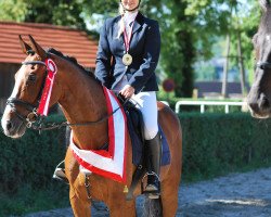 dressage horse Almost Heaven (Holsteiner, 2004, from Almoretto)
