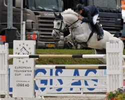 jumper Cavalino G (Bavarian, 2000, from Country Cross)