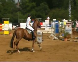 jumper Lu Lu 7 (Württemberger, 2005, from Lordanos)