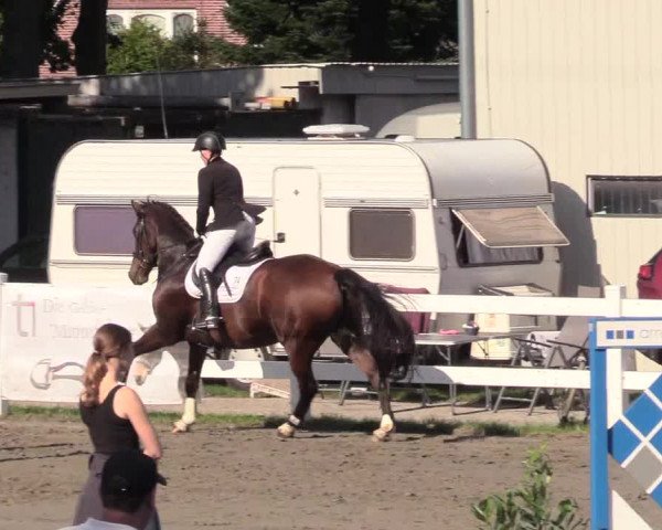 Springturnier Mildstedt 2021